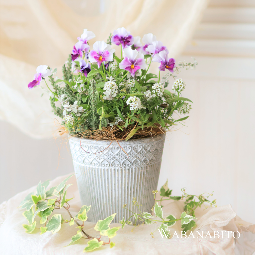 冬のパンビオギャザリング寄せ植え
