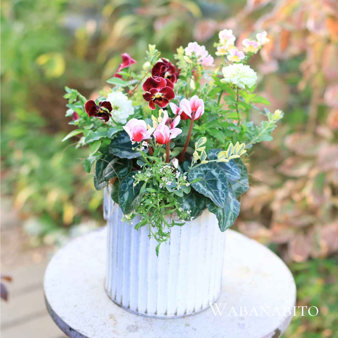 和花人作成寄せ植え冬