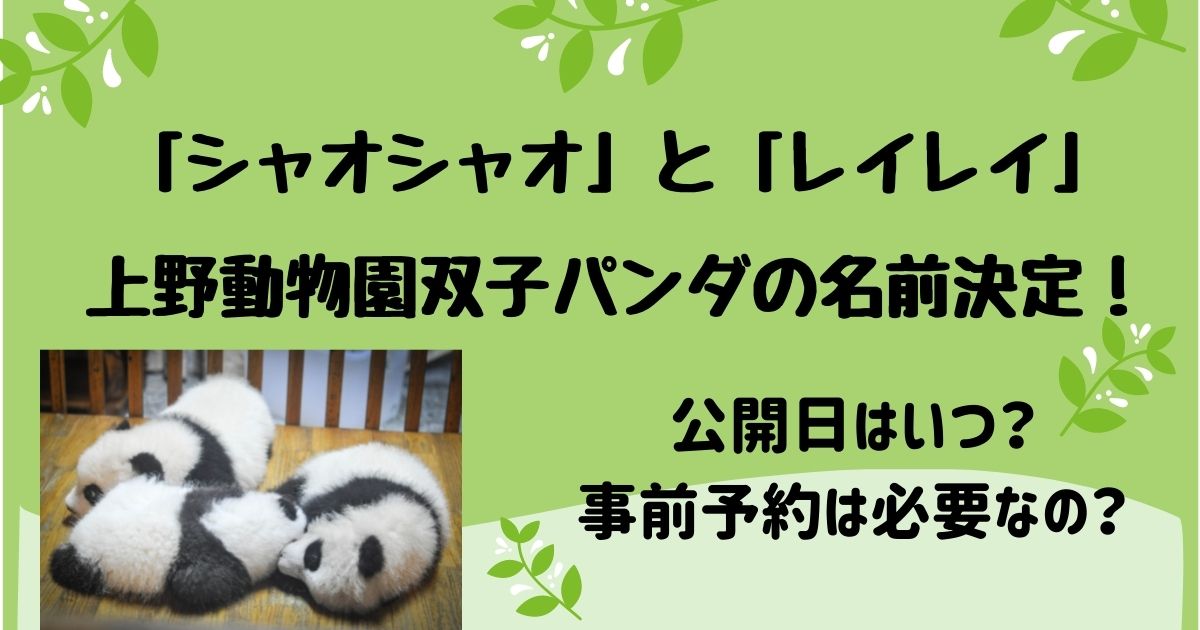 シャオシャオとレイレイ上野動物園双子パンダの名前決定 公開日 事前予約は必要 ミホの日和見ｄｉａｒｙ