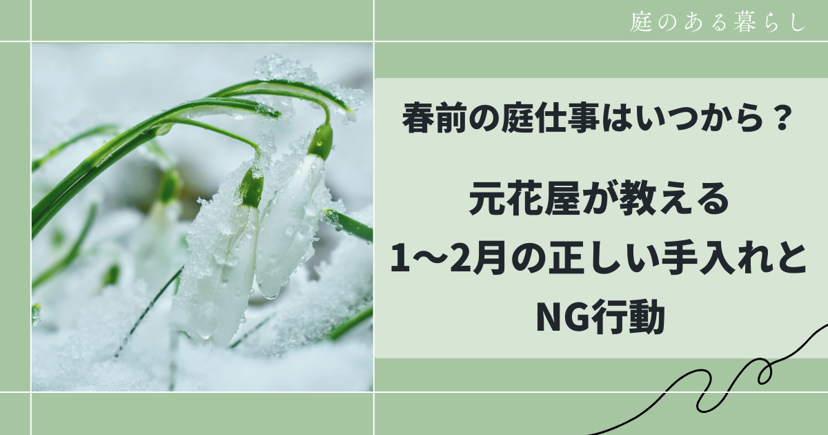 春前の庭仕事はいつから？元花屋が教える1〜2月の正しい手入れとNG行動