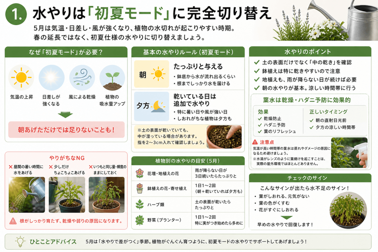 5月の水やりは「初夏モード」に完全切り替え