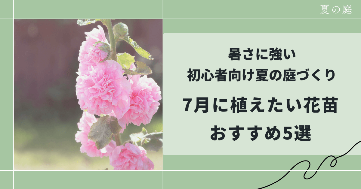 7月に植えたい花苗おすすめ5選｜暑さに強い初心者向け夏の庭づくり