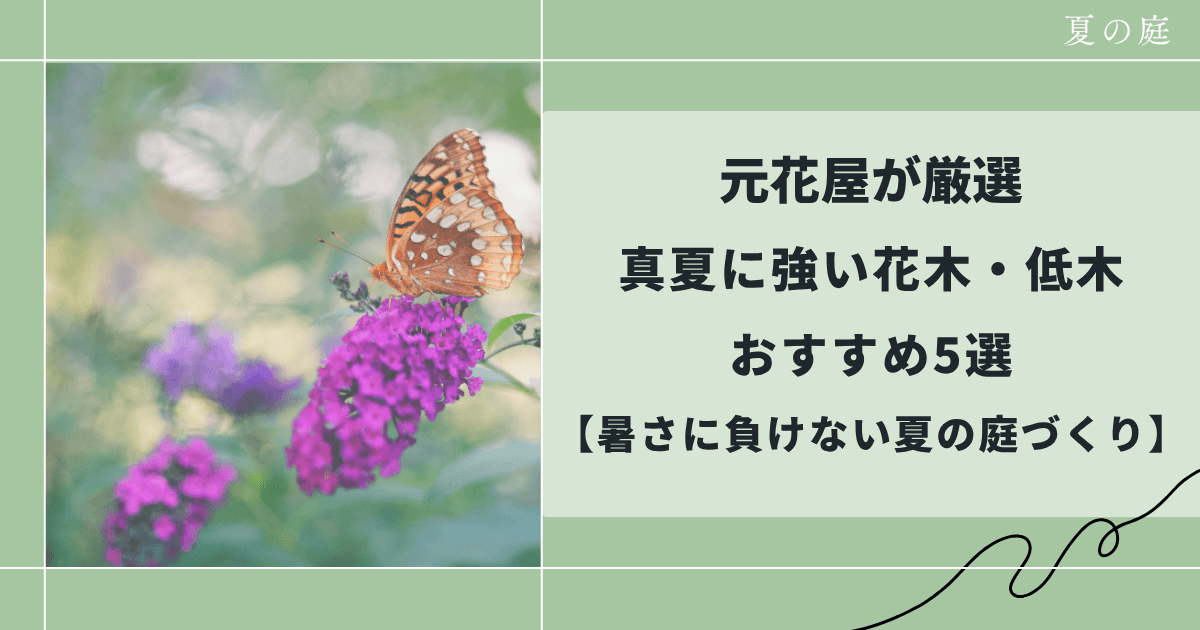 元花屋が厳選｜真夏に強い花木・低木おすすめ5選【暑さに負けない夏の庭づくり】
