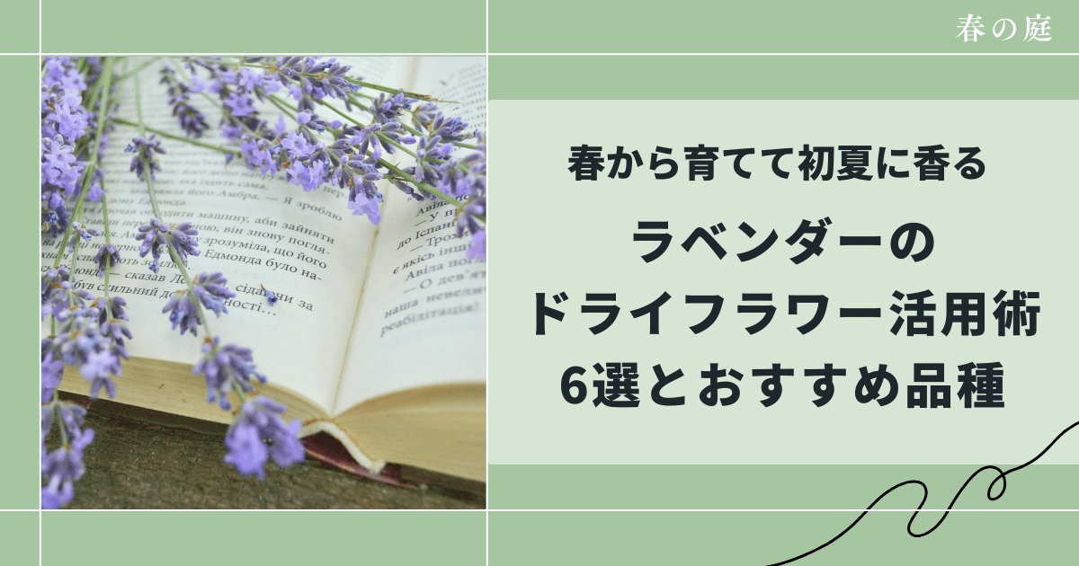 ラベンダーのドライフラワー楽しみ方