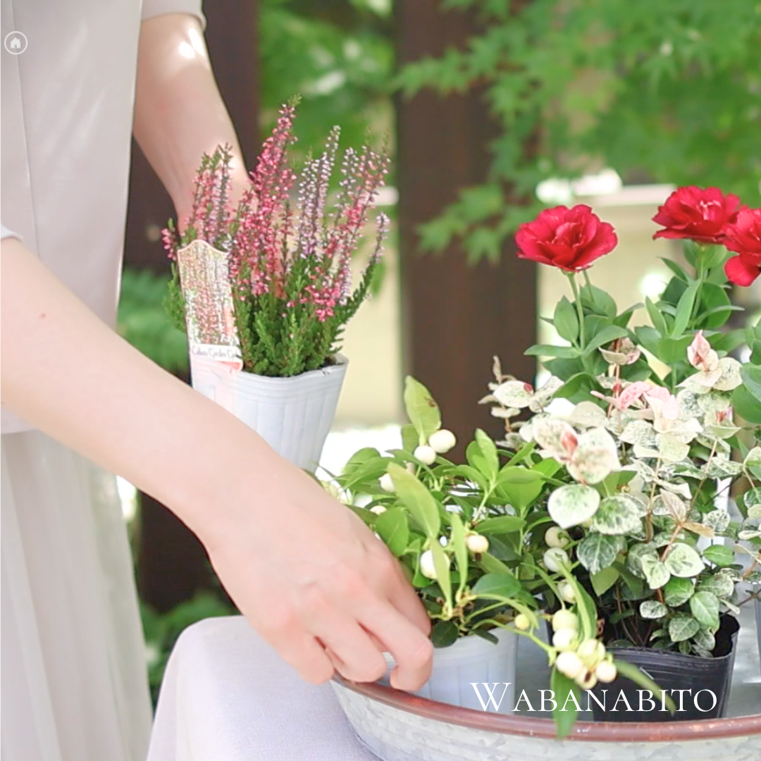 プロの花屋を目指す人へ和花人からの応援