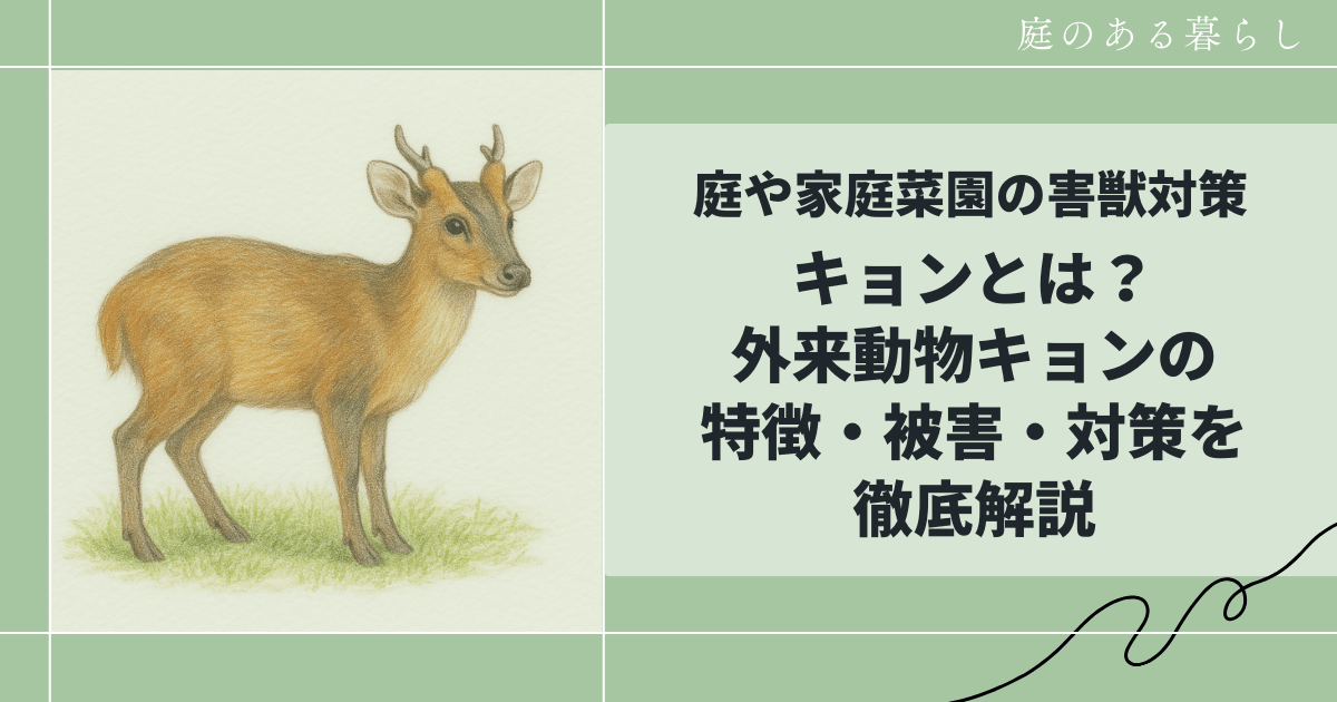 外来動物キョンの記事サムネイル