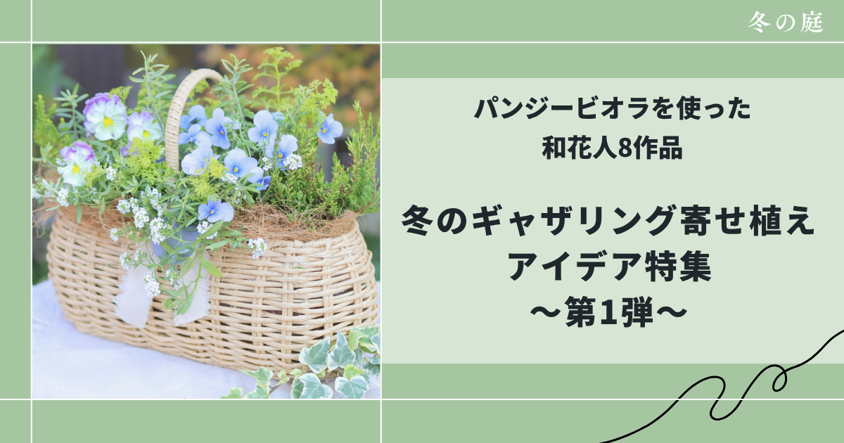 和花人の冬のパンジービオラを使ったギャザリング寄せ植えアイデア特集第1弾