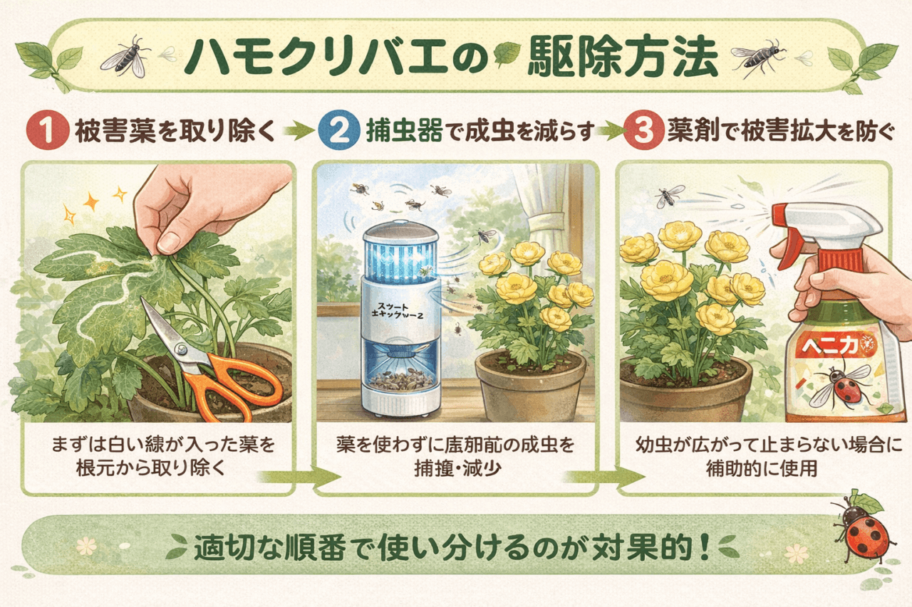 ハモグリバエの駆除方法