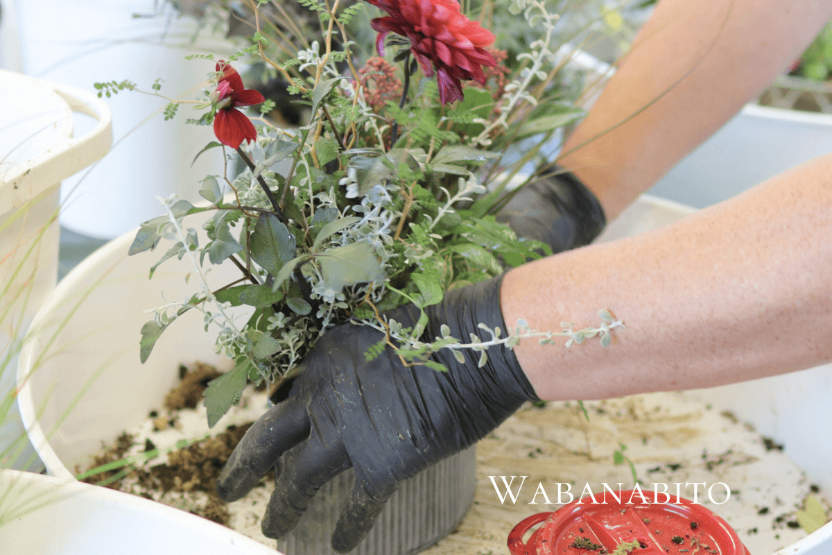 ギャザリング寄せ植えを極めるなら「花塾NAKAJIMA」へ｜プロが教える唯一無二の世界観