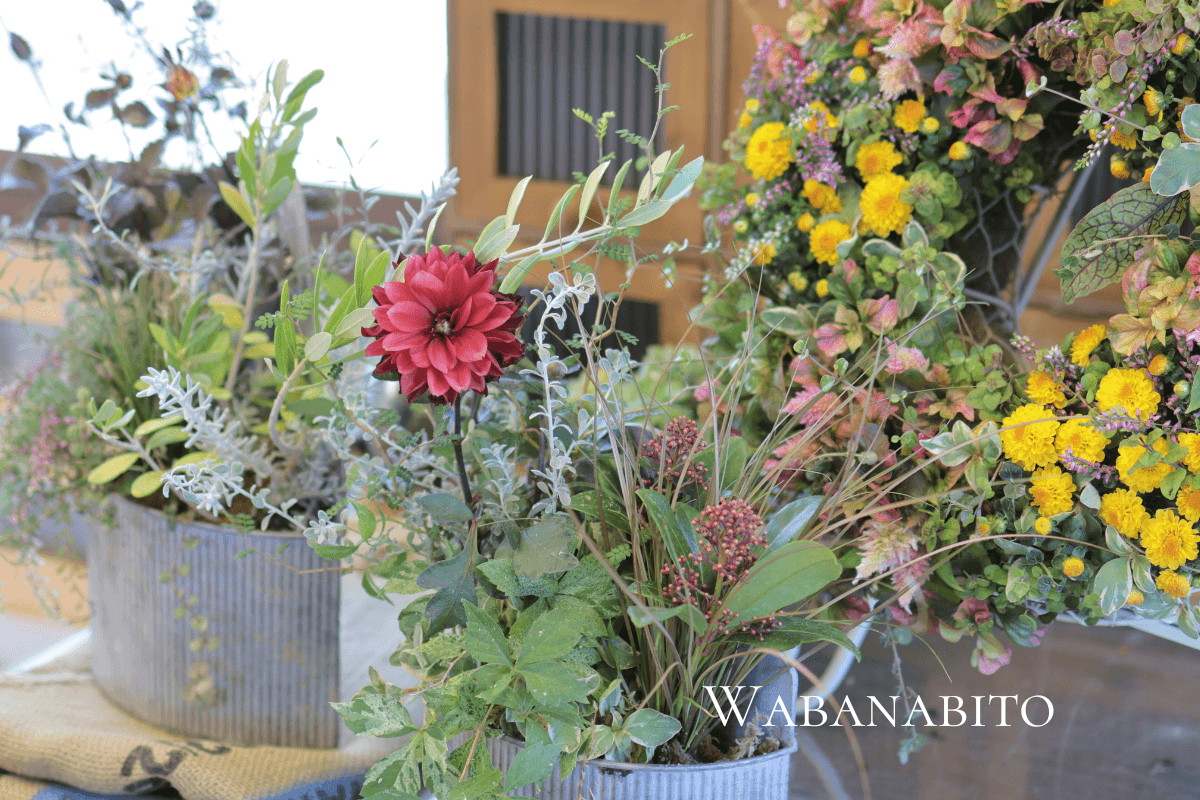 ギャザリング寄せ植えを極めるなら「花塾NAKAJIMA」へ｜プロが教える唯一無二の世界観