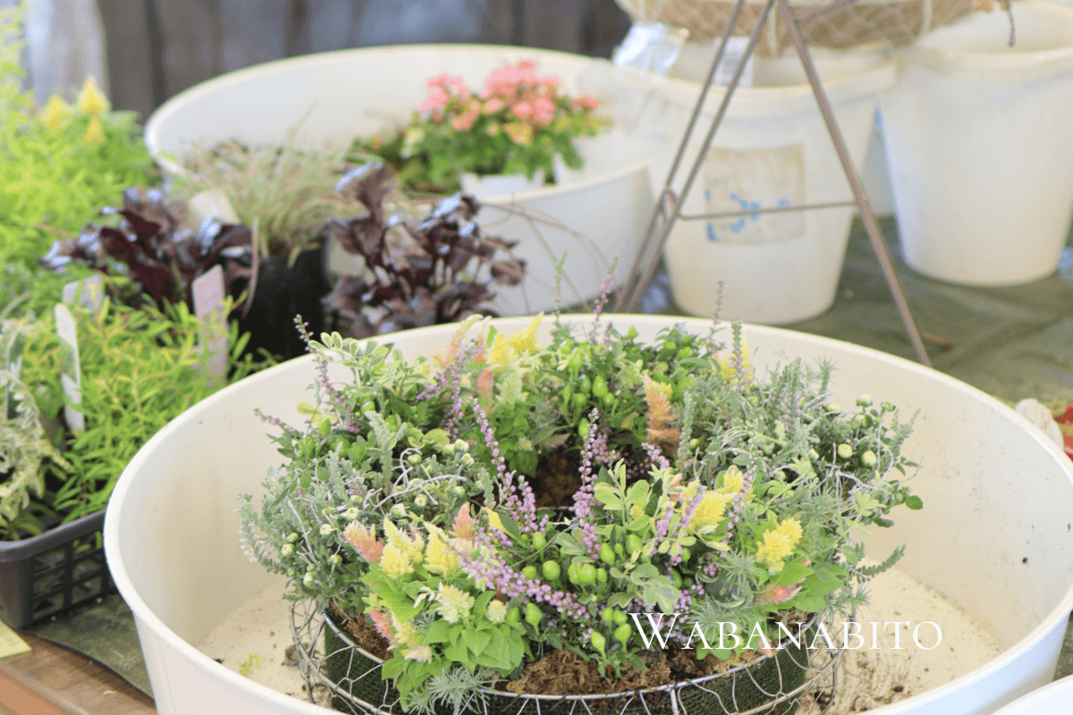 vギャザリング寄せ植えを極めるなら「花塾NAKAJIMA」へ｜プロが教える唯一無二の世界観