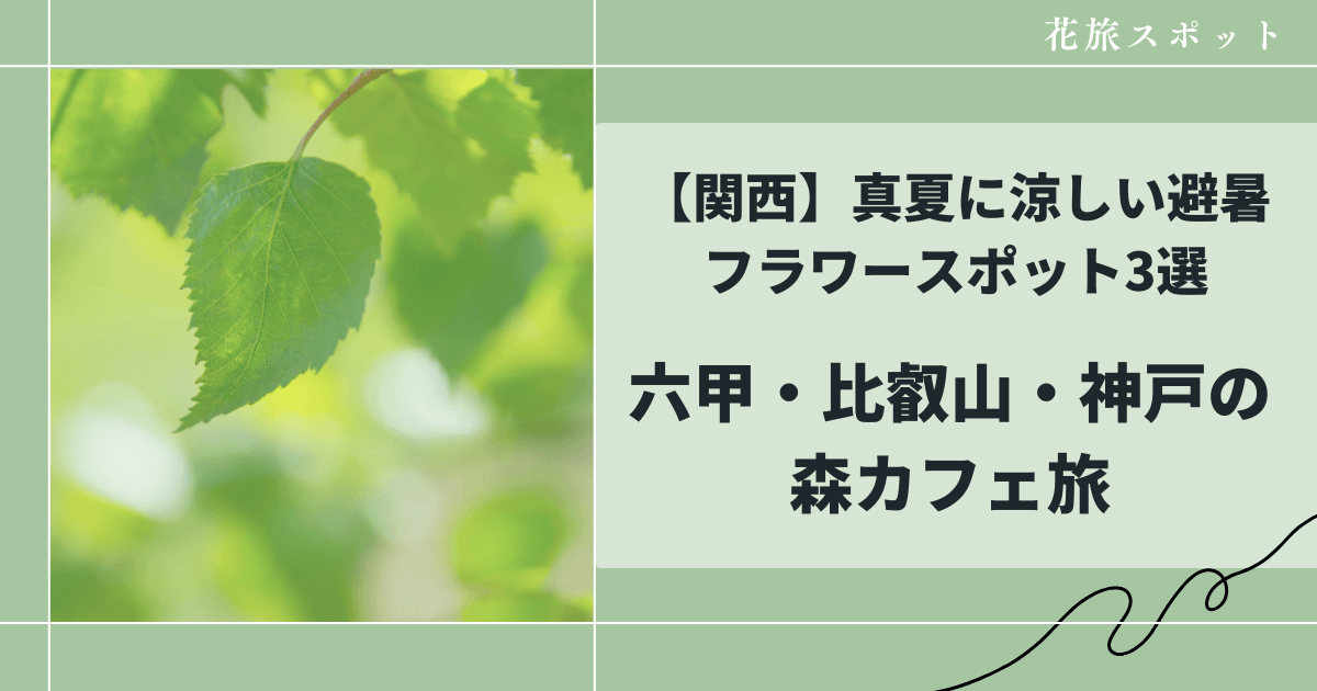 【関西】真夏に涼しい避暑フラワースポット3選|六甲・比叡山・神戸の森カフェ旅