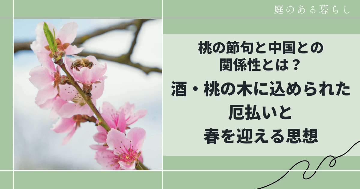 桃の節句と中国との関係性とは？｜酒・桃の木に込められた厄払いと春を迎える思想