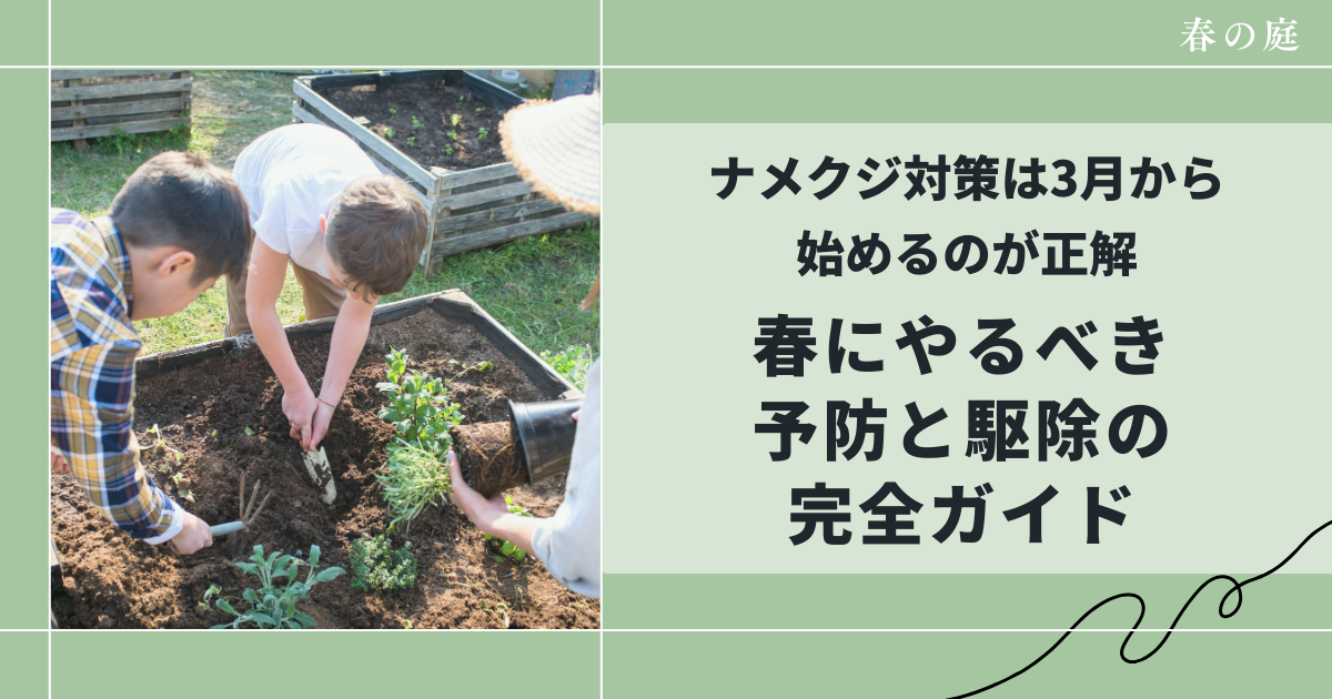 ナメクジ対策は3月から始めるのが正解｜春にやるべき予防と駆除の完全ガイド
