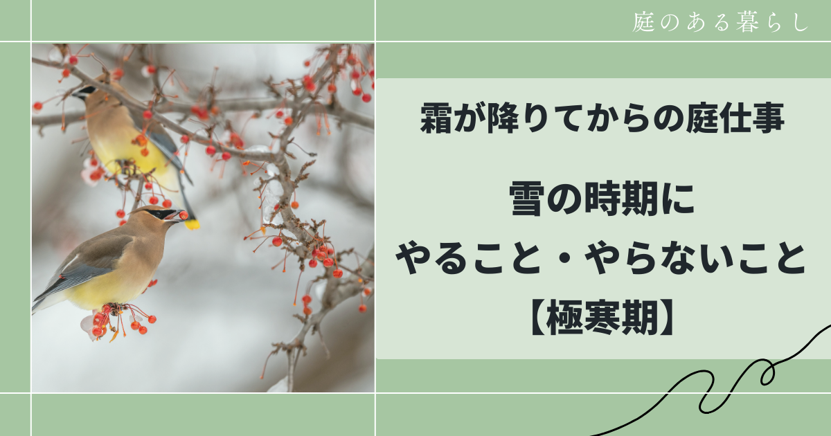霜が降りてからの庭仕事｜雪の時期の管理ポイント