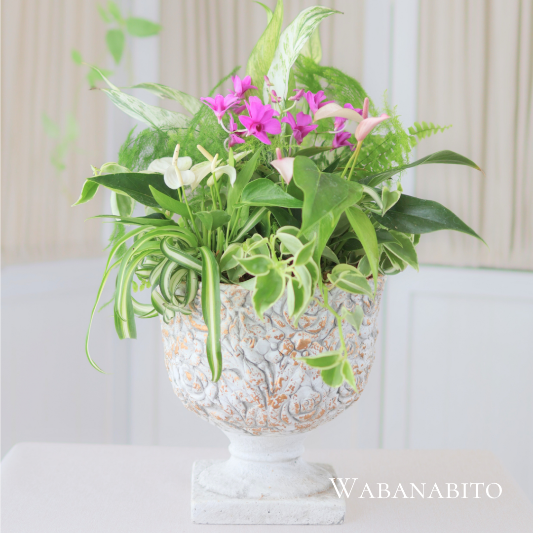 夏の寄せ植えギャザリング