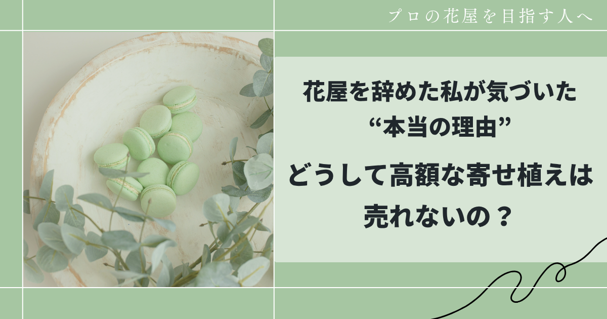 どうして高額な寄せ植えは売れないの？ 花屋を辞めた私が気づいた本当の理由