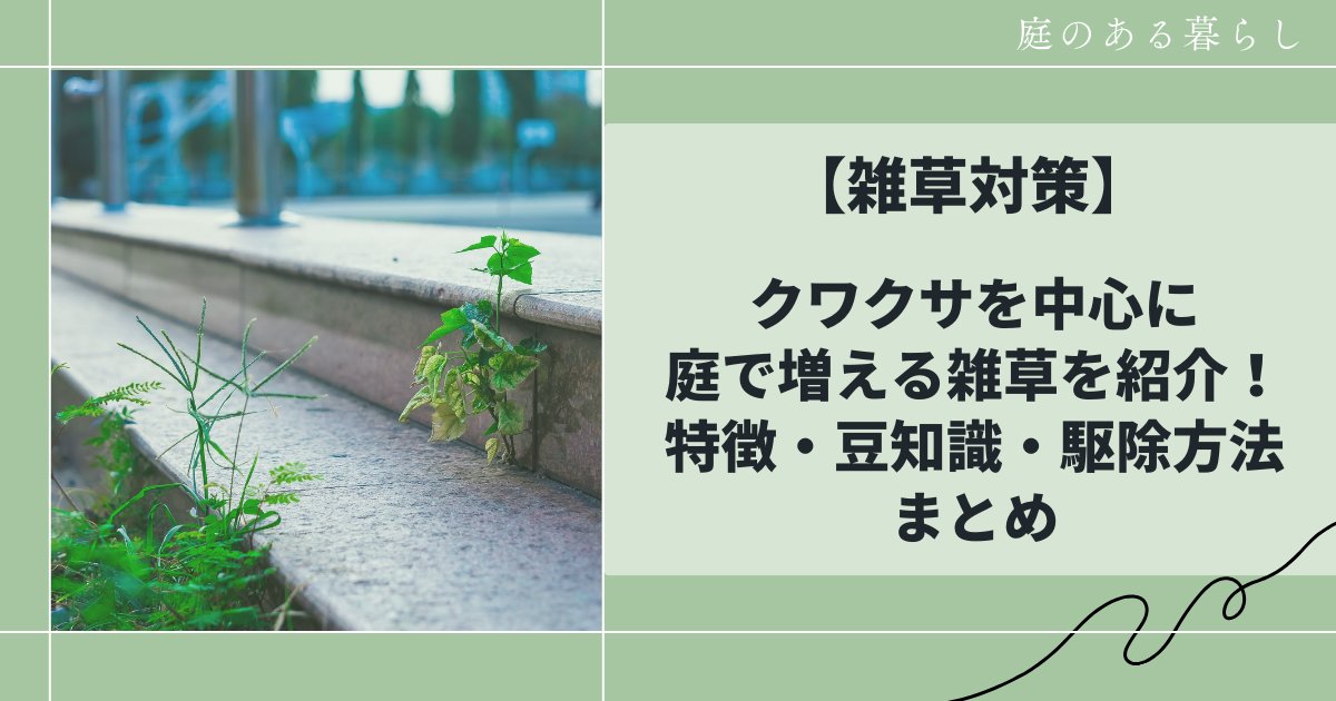 クワクサなど雑草対策について