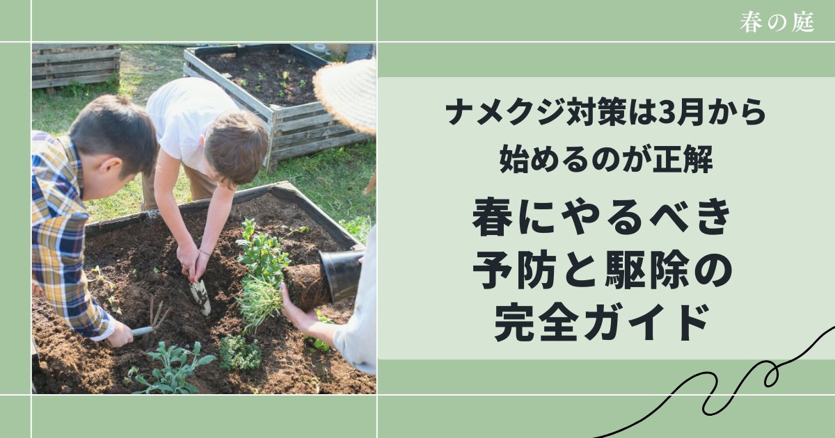 ナメクジ対策は3月から始めるのが正解｜春にやるべき予防と駆除の完全ガイド